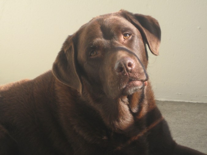 Miller feeling zen...